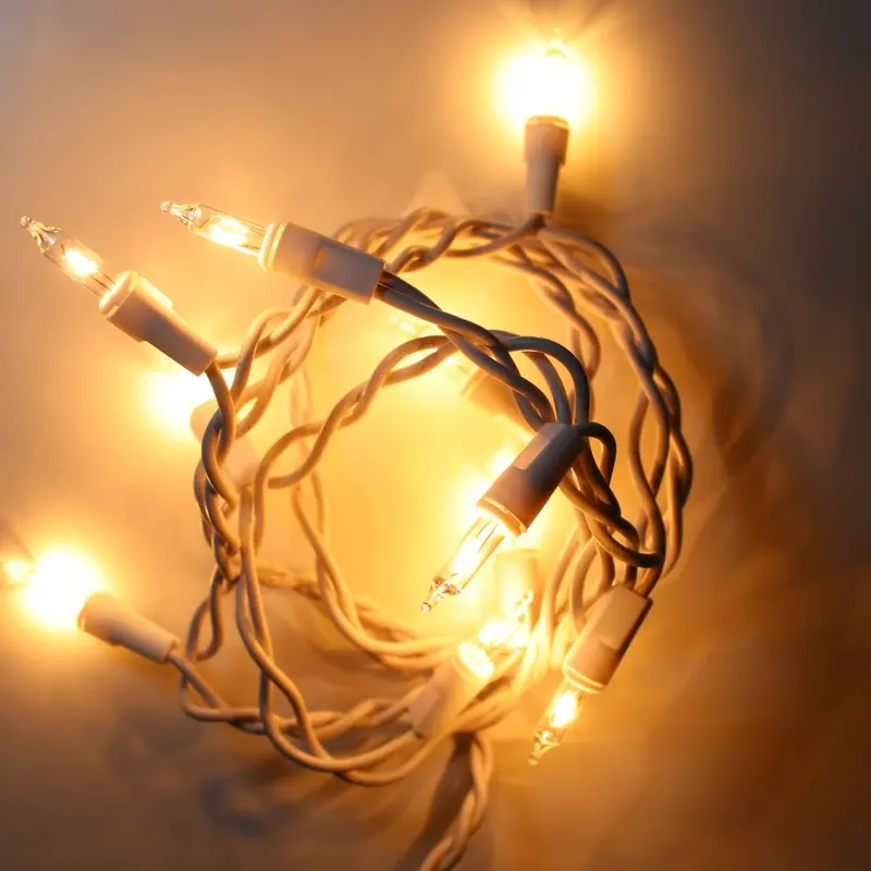 10-Light Clear Glass Craft String Lights with White Wire