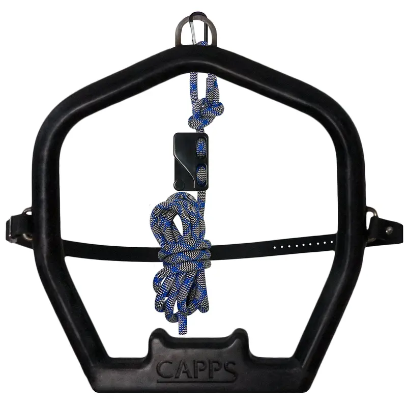 Capps Equine Dental Halter with Secure Fit