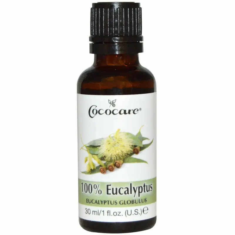 Cococare Pure Eucalyptus Essential Oil – 1 Fl Oz