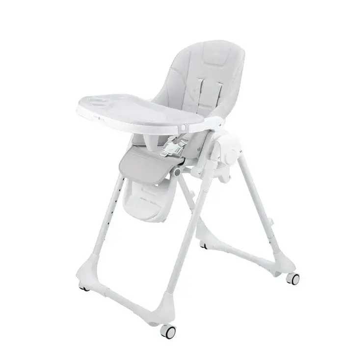 Cozy N Safe Avon Multi-Position Highchair