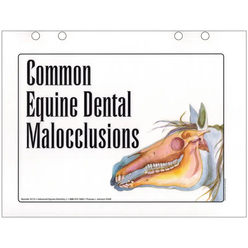 Laminated Equine Malocclusion Reference Flip Chart
