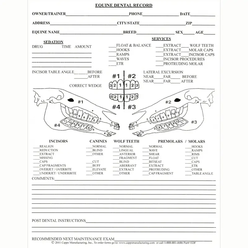 Printable Equine Dental Record Forms Pack